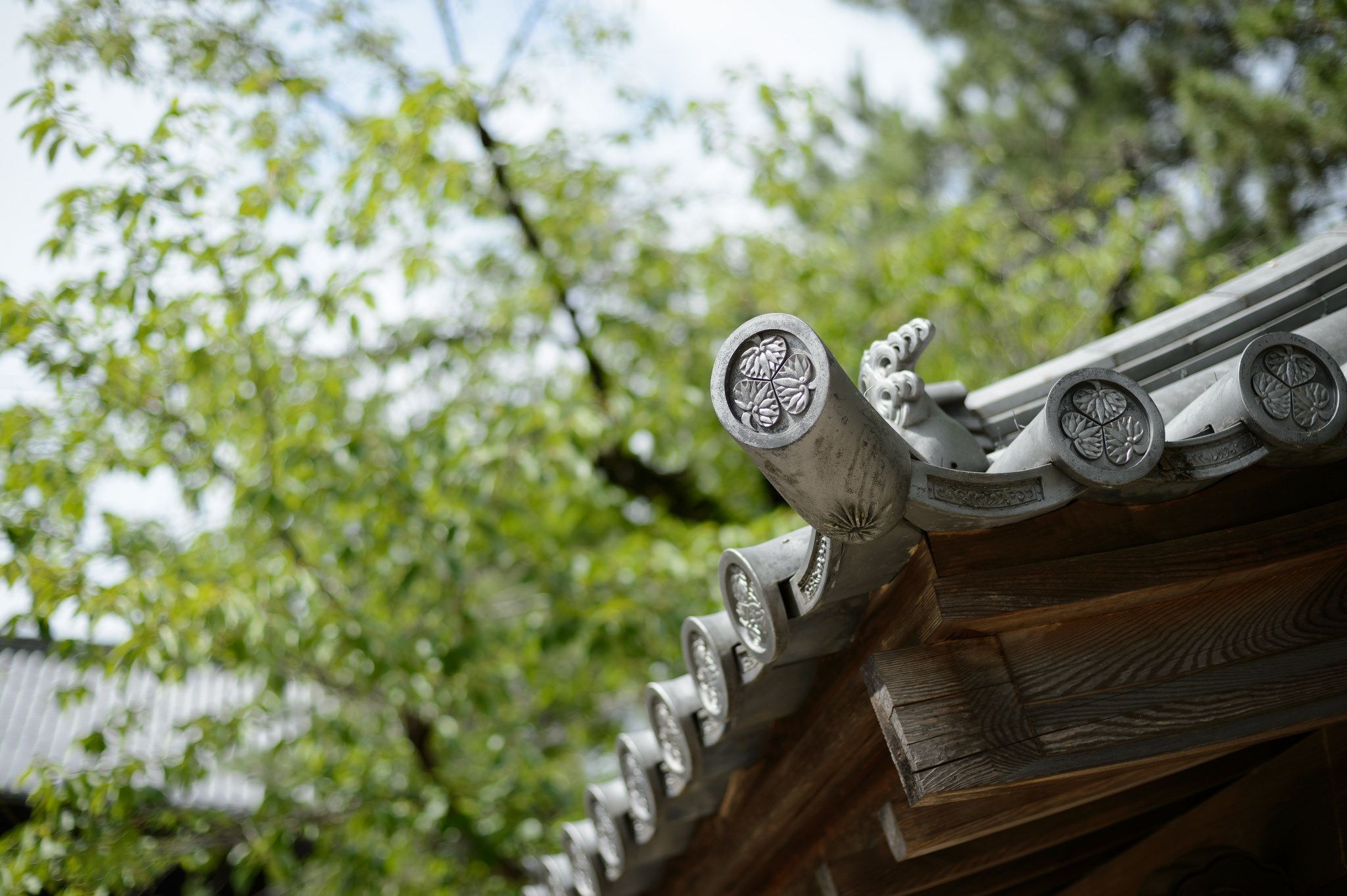 Roof of Daijuji temple Okazaki, Aichi