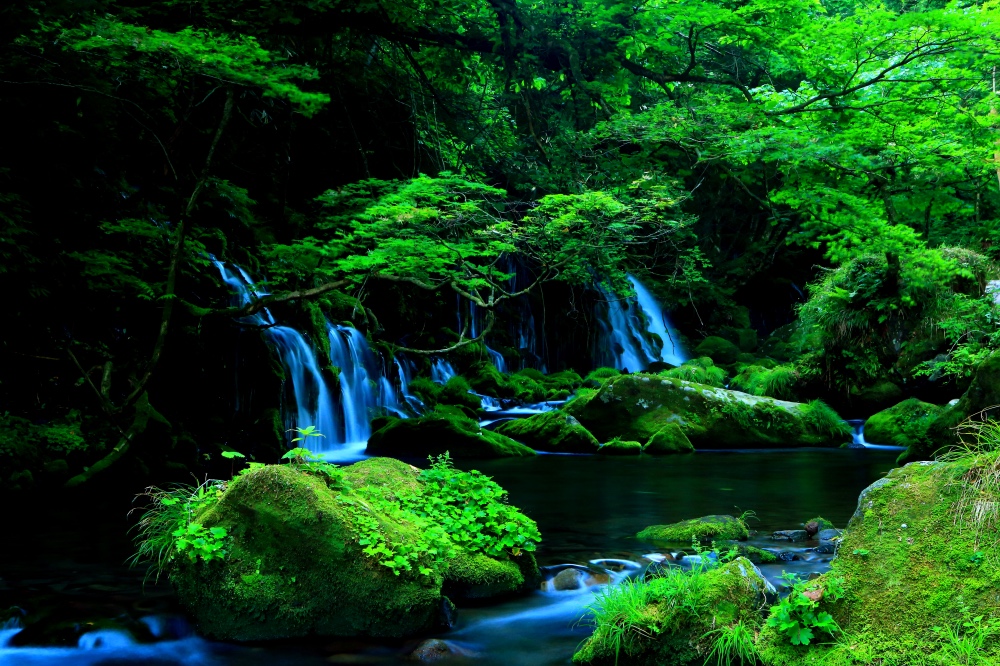 Akita Prefecture Green Nature Waterfall 