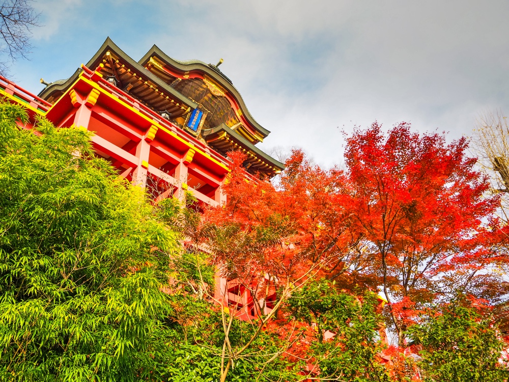 Red shrine and autumn leaves in Saga prefecture