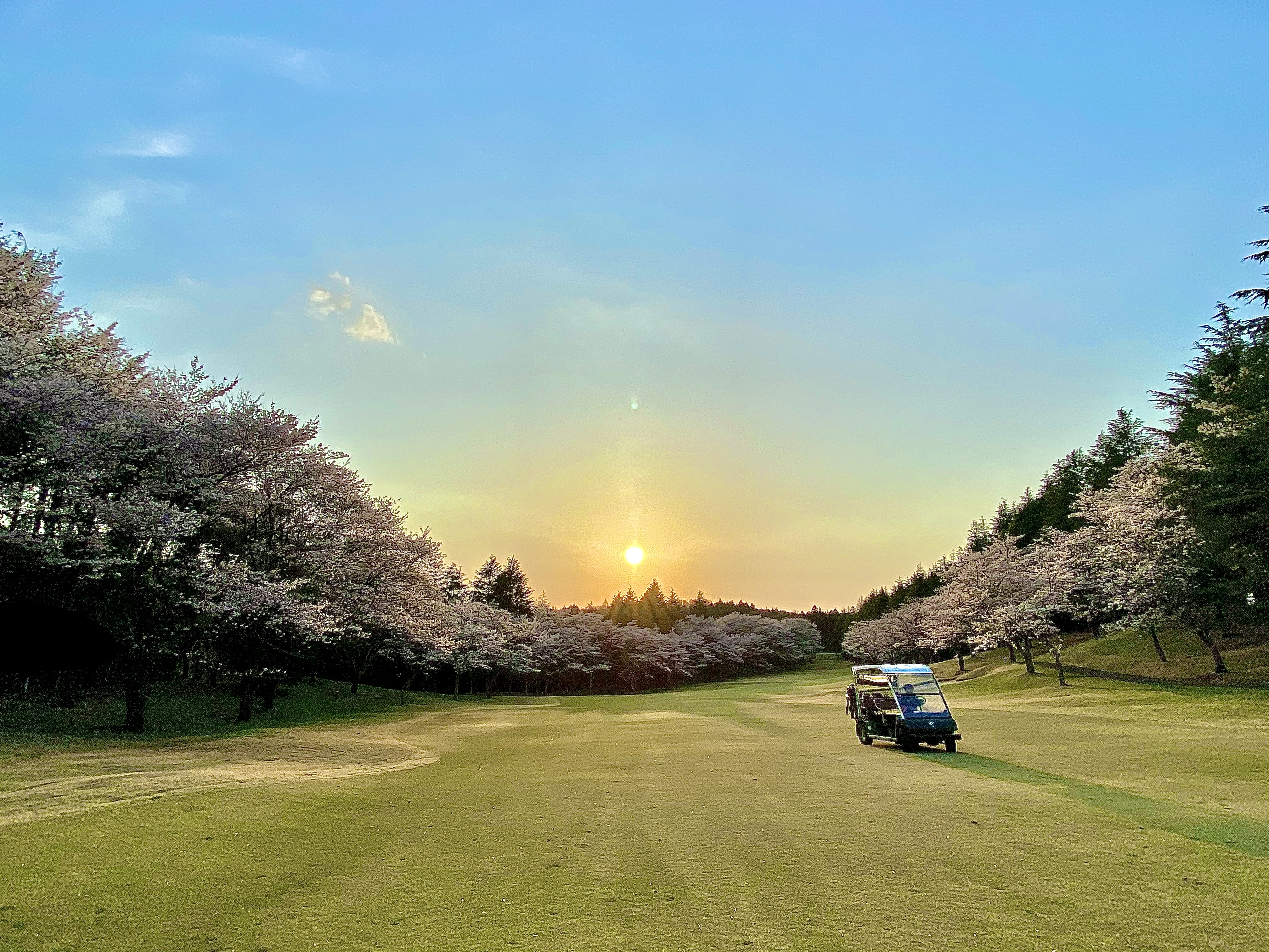 Sakura Golf in Japan | Air Golf Japan