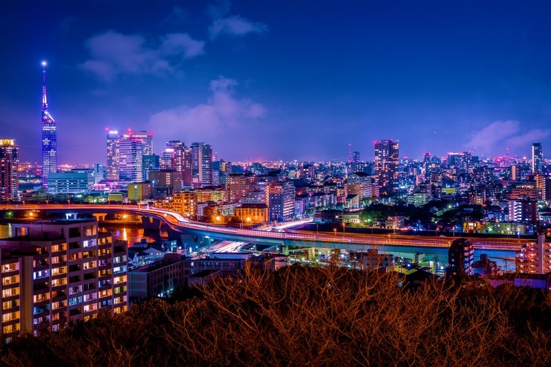 Neon Skyline of Fukuoka