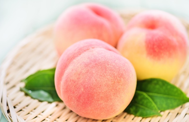 Japanese white peaches from Okayama prefecture