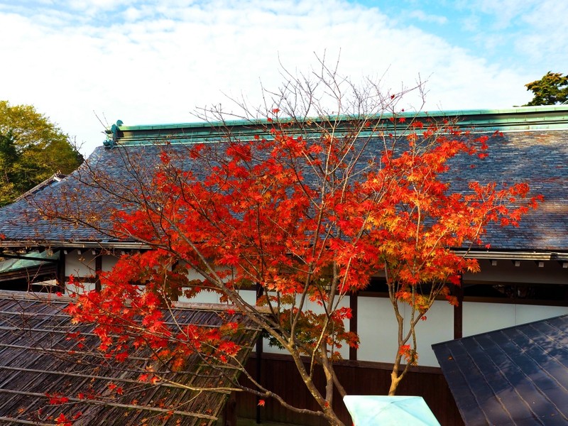 rooftop in Kagoshima 