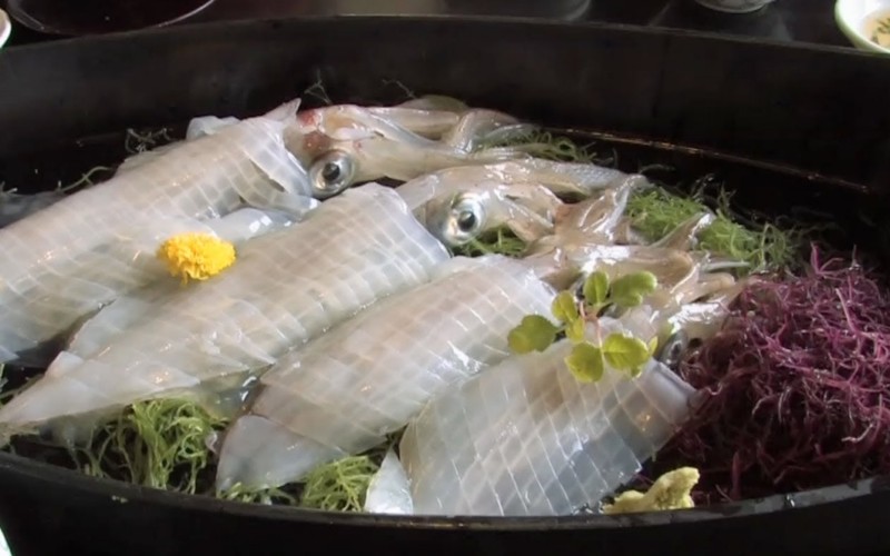 Sweet and tender squid sashimi 