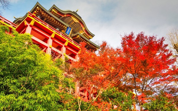 Red shrine and autumn leaves in Saga prefecture