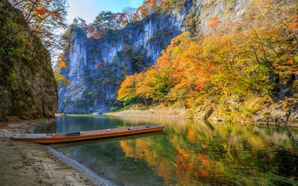 fall leaves in iwate along river with boat